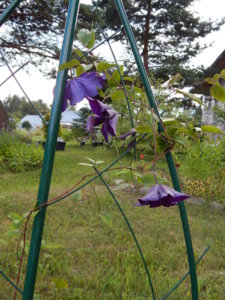 DSCN3071.JPG