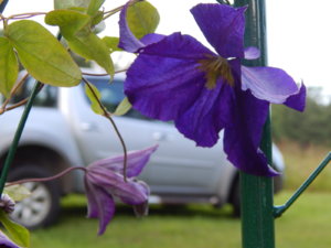 DSCN3087.JPG