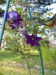 DSCN3220.JPG