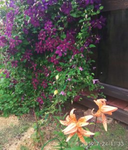 IMG_20190724_145058.jpg