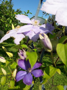 20190723_104248.jpg