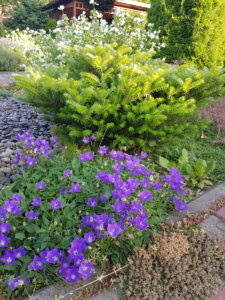20190630_200953.jpg
