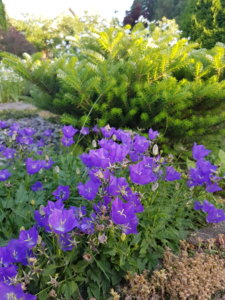 20190630_201010.jpg