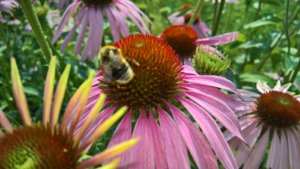 WP_20190726_14_07_21_Pro_LI.jpg