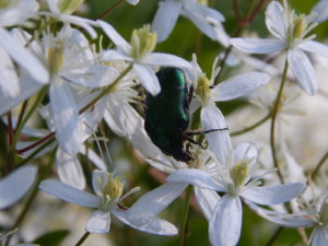 DSCN3247.JPG