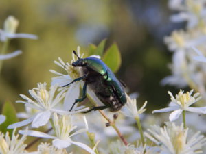 DSCN3248.JPG