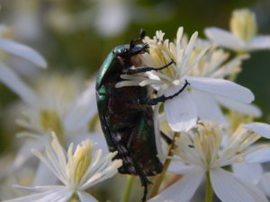 DSCN3261.JPG