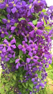 WP_20190731_10_38_09_Pro_LI.jpg