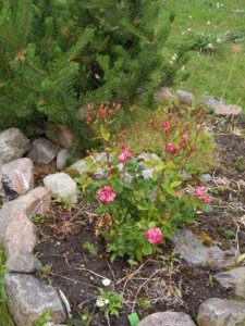 DSCN2643.JPG