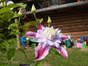 DSCN3735.JPG