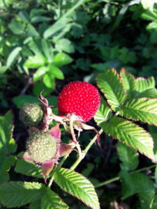 20190810_091448.jpg