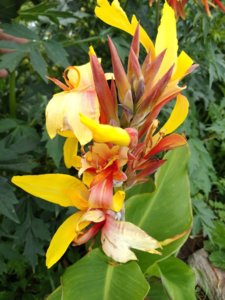 IMG_20190810_160838.jpg