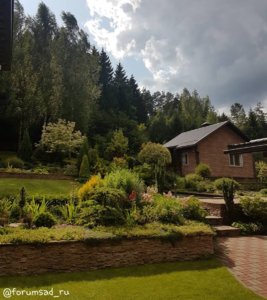 IMG_20190830_070441_403.jpg