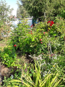 20190909_144037.jpg