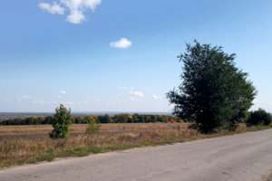 дорога.jpg