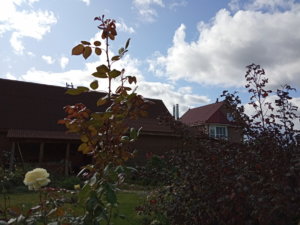 IMG_20190914_122740.jpg