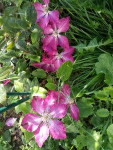 IMG-20191109-WA0132.jpg