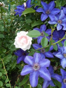 DSCN2291.jpg