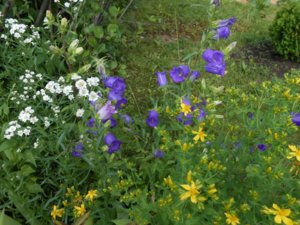 DSCN1655.jpg