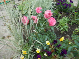 DSCN1391.JPG