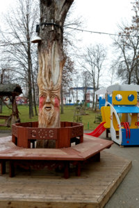 дерево.jpg