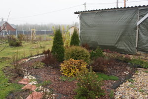DSC06221.JPG
