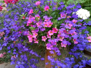 IMG_20190807_144128.jpg