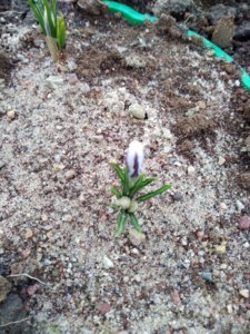 IMG_20200308_110544.jpg