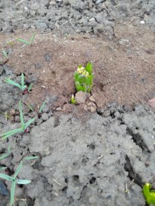 IMG_20200308_110700.jpg