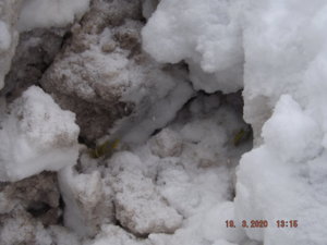 DSCF5574.JPG