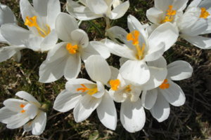 DSC06521 Жанна.JPG