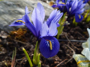 DSCN0345.JPG