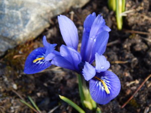 DSCN0401.JPG