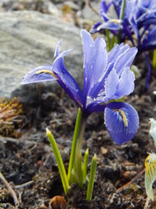 DSCN0415.JPG