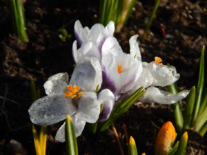 DSCN0395.JPG