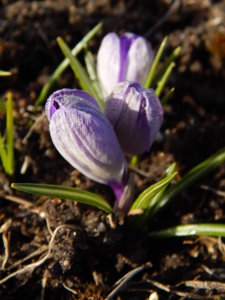DSCN0405.JPG