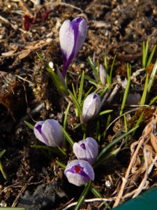 DSCN0406.JPG