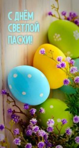 IMG-1ba7af6f71038d8b2b6e402e3c8f76ec-V.jpg