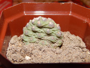 DSCN0472.JPG