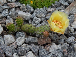 DSCN2447.JPG