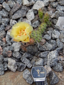 DSCN2454.JPG