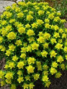 P1210044.JPG