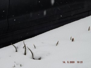 DSCF6020.JPG