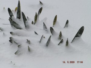 DSCF6028.JPG