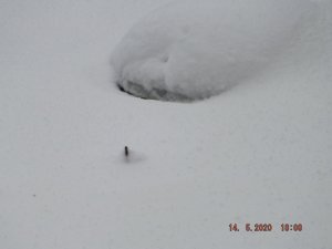 DSCF6039.JPG