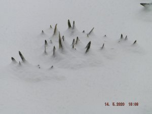 DSCF6044.JPG