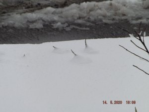 DSCF6043.JPG