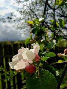 IMG-1dc01b1f4ef975c46bf282ea39cc73dc-V.jpg