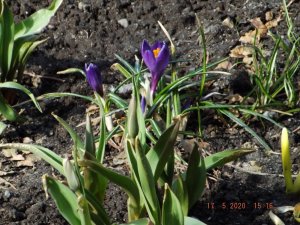 DSCF6188.JPG
