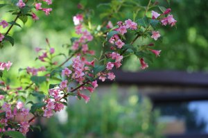 IMG_8813.JPG